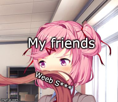 MONIKA WHY | My friends; Weeb S*** | image tagged in monika why | made w/ Imgflip meme maker