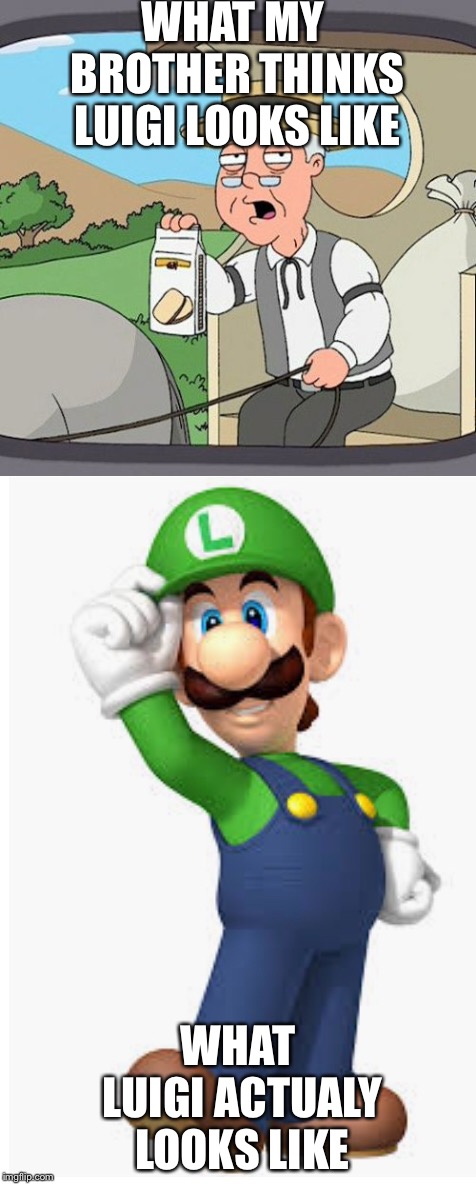 WHAT MY BROTHER THINKS LUIGI LOOKS LIKE; WHAT LUIGI ACTUALY LOOKS LIKE | image tagged in say that again i dare you | made w/ Imgflip meme maker