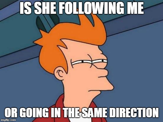 Futurama Fry Meme | IS SHE FOLLOWING ME; OR GOING IN THE SAME DIRECTION | image tagged in memes,futurama fry | made w/ Imgflip meme maker