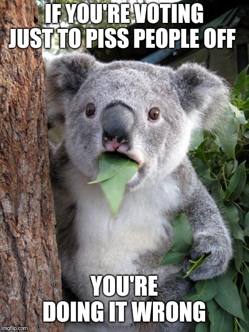 Surprised Koala | IF YOU'RE VOTING JUST TO PISS PEOPLE OFF; YOU'RE DOING IT WRONG | image tagged in memes,surprised koala | made w/ Imgflip meme maker