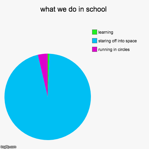 so this is why the human race is an idiot  | what we do in school | running in circles, staring off into space, learning | image tagged in funny,pie charts | made w/ Imgflip chart maker