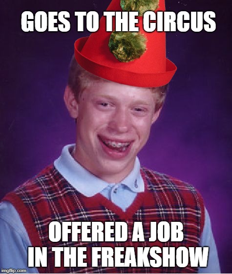 Bad Luck Brian Meme | GOES TO THE CIRCUS OFFERED A JOB IN THE FREAKSHOW | image tagged in memes,bad luck brian | made w/ Imgflip meme maker