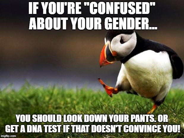 I'm surprised this even became a debate. What a time to be alive.  | IF YOU'RE "CONFUSED" ABOUT YOUR GENDER... YOU SHOULD LOOK DOWN YOUR PANTS. OR GET A DNA TEST IF THAT DOESN'T CONVINCE YOU! | image tagged in memes,unpopular opinion puffin,politics,transgender,gender | made w/ Imgflip meme maker