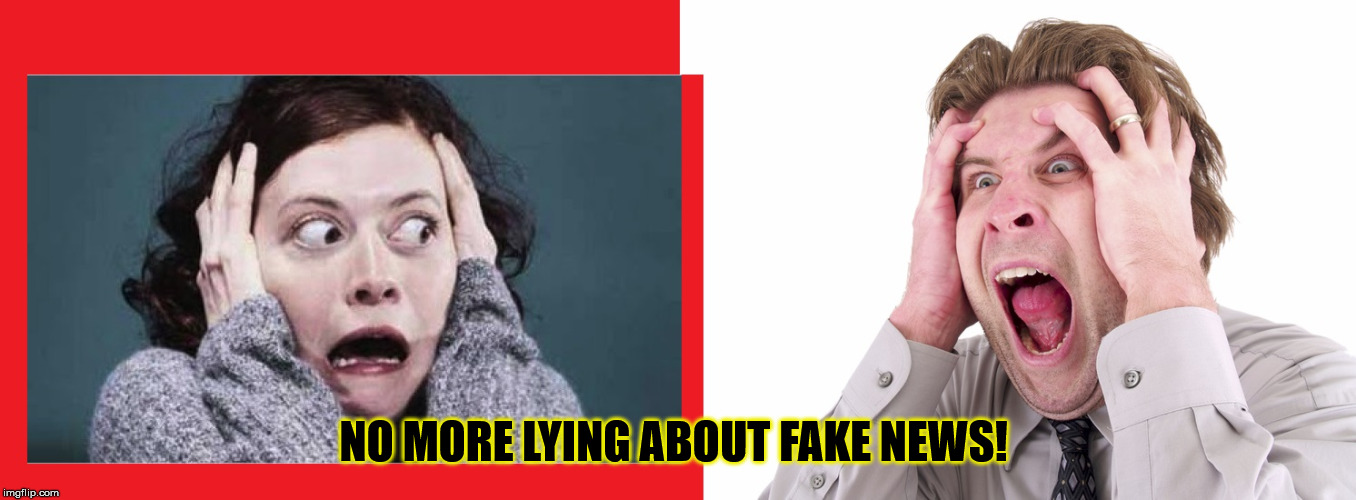 Freak Out | NO MORE LYING ABOUT FAKE NEWS! | image tagged in freak out | made w/ Imgflip meme maker