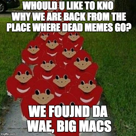 Ugandan knuckles army | WHOULD U LIKE TO KNO WHY WE ARE BACK FROM THE PLACE WHERE DEAD MEMES GO? WE FOUJND DA WAE, BIG MACS | image tagged in ugandan knuckles army | made w/ Imgflip meme maker
