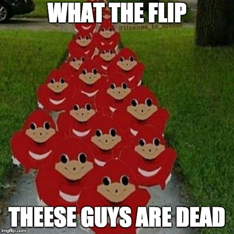 Ugandan knuckles army | WHAT THE FLIP; THEESE GUYS ARE DEAD | image tagged in ugandan knuckles army | made w/ Imgflip meme maker