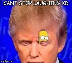 I dont know whether to STFU or keep laughing at this! :´D | CANT STOP LAUGHING XD | image tagged in memes,trump,homer simpson,eyelid,xd | made w/ Imgflip meme maker