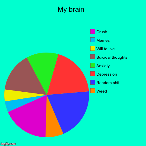 My brain  | Weed, Random shit , Depression, Anxiety, Suicidal thoughts, Will to live, Memes, Crush | image tagged in funny,pie charts | made w/ Imgflip chart maker