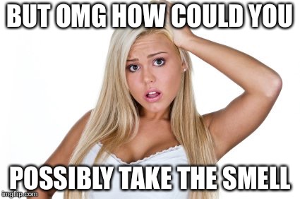 Dumb Blonde | BUT OMG HOW COULD YOU POSSIBLY TAKE THE SMELL | image tagged in dumb blonde | made w/ Imgflip meme maker