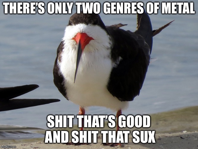Even Less Popular Opinion Bird | THERE’S ONLY TWO GENRES OF METAL SHIT THAT’S GOOD AND SHIT THAT SUX | image tagged in even less popular opinion bird | made w/ Imgflip meme maker