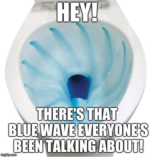 HEY! THERE'S THAT BLUE WAVE EVERYONE'S BEEN TALKING ABOUT! | image tagged in tidy bowl | made w/ Imgflip meme maker