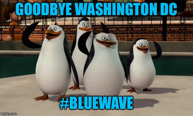 Not the wave they were expecting | GOODBYE WASHINGTON DC; #BLUEWAVE | image tagged in just smile and wave boys,waves,democrats | made w/ Imgflip meme maker