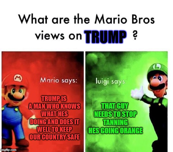 Mario Bros Views | TRUMP; TRUMP IS A MAN WHO KNOWS WHAT HES DOING AND DOES IT WELL TO KEEP OUR COUNTRY SAFE; THAT GUY NEEDS TO STOP TANNING HES GOING ORANGE | image tagged in mario bros views | made w/ Imgflip meme maker