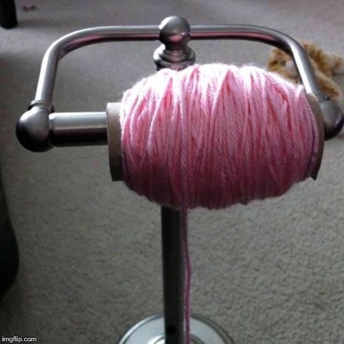 toilet paper yarn | . | image tagged in toilet paper yarn | made w/ Imgflip meme maker