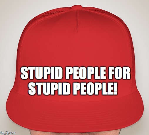 Trump Hat | STUPID PEOPLE! STUPID PEOPLE FOR | image tagged in trump hat | made w/ Imgflip meme maker