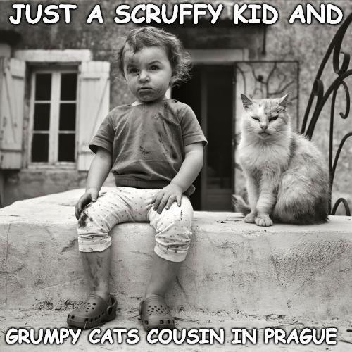 Ernst Stavro Blofeld taking over your children with the help of Grumpy Cat | JUST A SCRUFFY KID AND; GRUMPY CATS COUSIN IN PRAGUE | image tagged in grumpy cat,cute kids | made w/ Imgflip meme maker