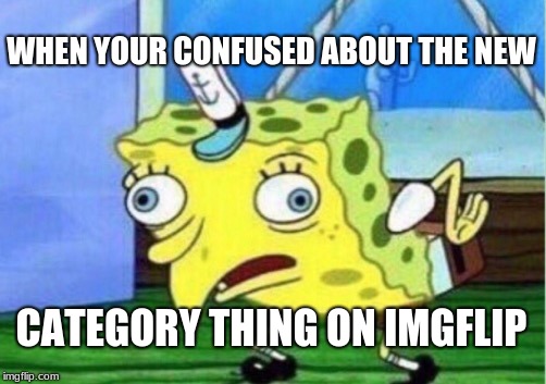 Mocking Spongebob Meme | WHEN YOUR CONFUSED ABOUT THE NEW; CATEGORY THING ON IMGFLIP | image tagged in memes,mocking spongebob | made w/ Imgflip meme maker