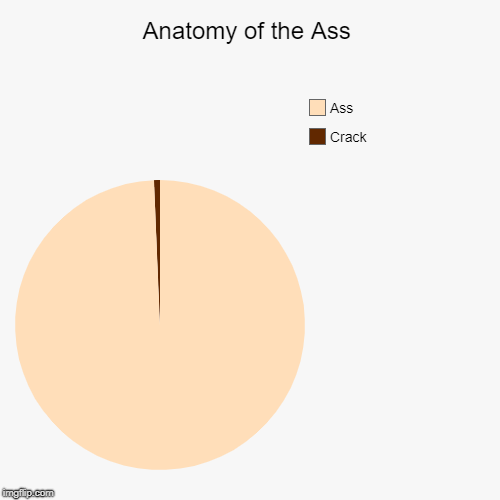 Anatomy of the Ass | Crack, Ass | image tagged in funny,pie charts | made w/ Imgflip chart maker