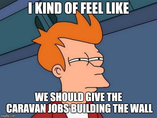 Futurama Fry | I KIND OF FEEL LIKE; WE SHOULD GIVE THE CARAVAN JOBS BUILDING THE WALL | image tagged in memes,futurama fry | made w/ Imgflip meme maker