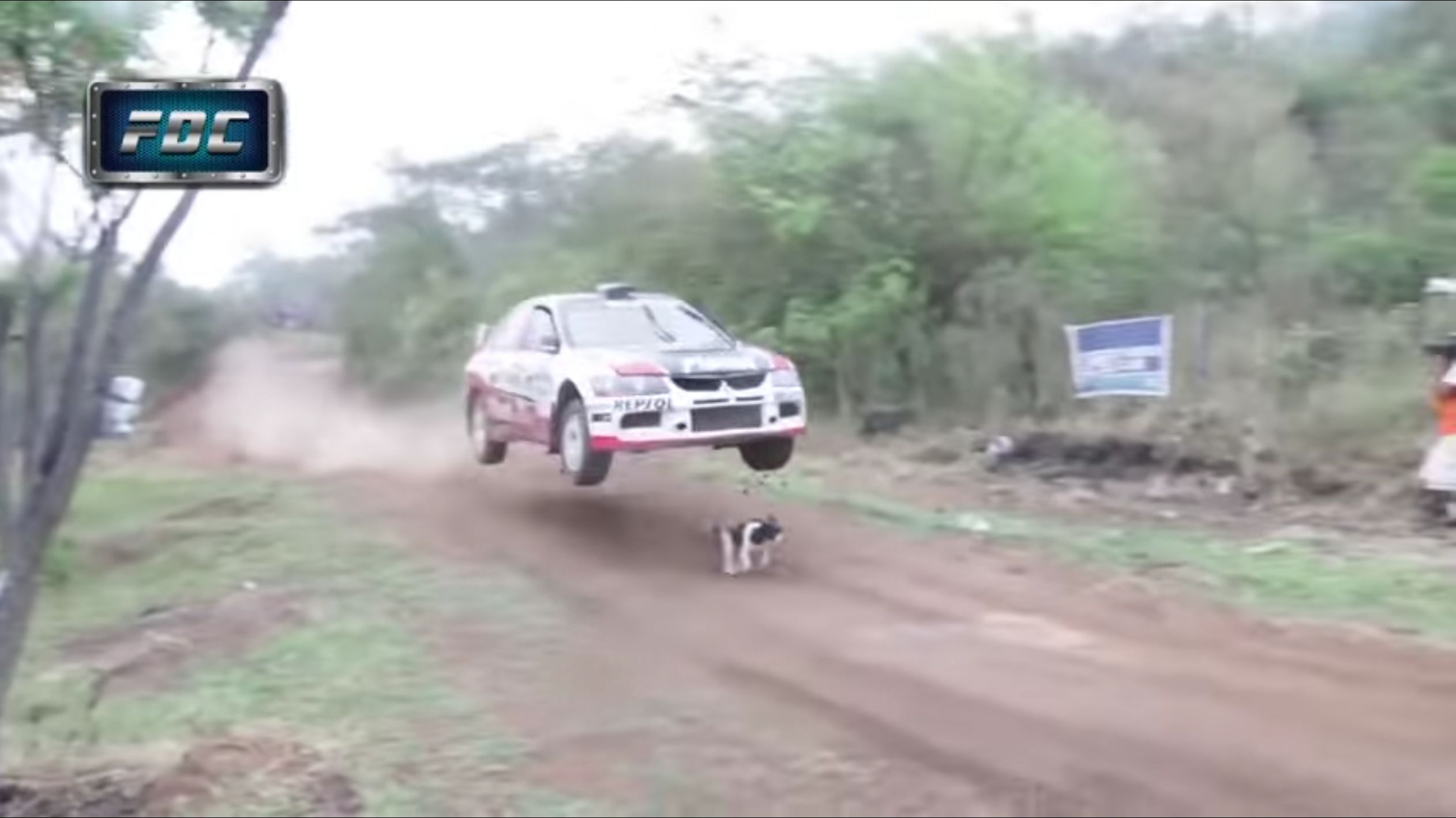 Race car fly over dog Blank Meme Template