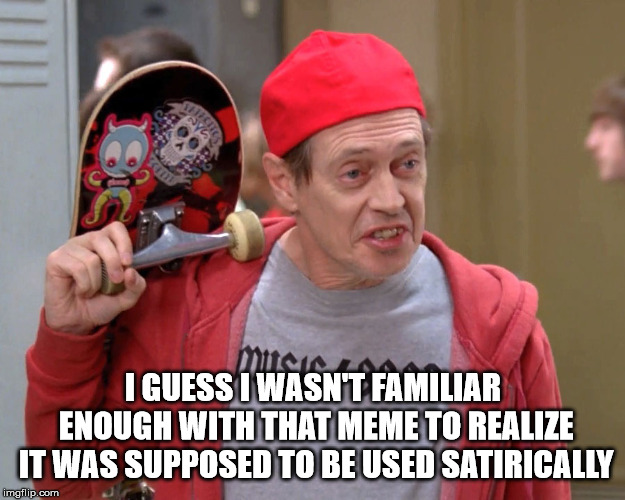 Steve Buscemi Fellow Kids | I GUESS I WASN'T FAMILIAR ENOUGH WITH THAT MEME TO REALIZE IT WAS SUPPOSED TO BE USED SATIRICALLY | image tagged in steve buscemi fellow kids | made w/ Imgflip meme maker