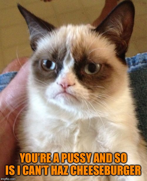 Grumpy Cat Meme | YOU’RE A PUSSY AND SO IS I CAN’T HAZ CHEESEBURGER | image tagged in memes,grumpy cat | made w/ Imgflip meme maker