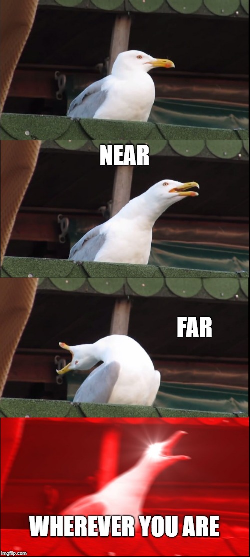 Inhaling Seagull | NEAR; FAR; WHEREVER YOU ARE | image tagged in memes,inhaling seagull | made w/ Imgflip meme maker