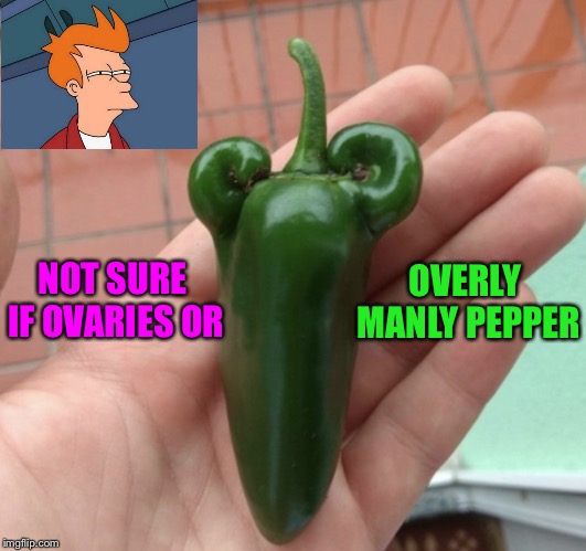 OVERLY MANLY PEPPER; NOT SURE IF OVARIES OR | image tagged in futurama fry,pepper,ovaries,memes,funny | made w/ Imgflip meme maker