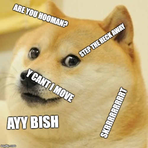 Doge | ARE YOU HOOMAN? STEP THE HECK AWAY; Y CANT I MOVE; SKRRRRRRRRRT; AYY BISH | image tagged in memes,doge | made w/ Imgflip meme maker