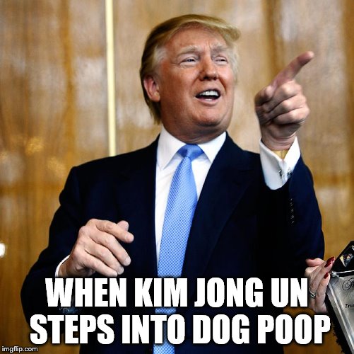 Trump is happpy!! | WHEN KIM JONG UN STEPS INTO DOG POOP | image tagged in donal trump birthday,donald trump,kim jong un,political meme | made w/ Imgflip meme maker