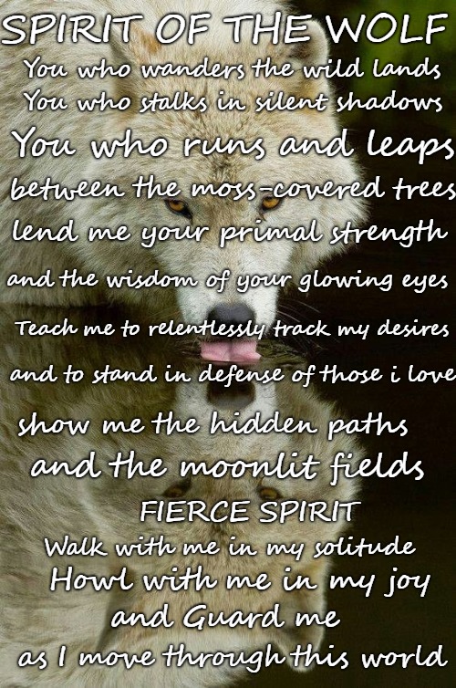 Spirit Of the Wolf  Guide Me Through This Life | SPIRIT OF THE WOLF; You who wanders the wild lands; You who stalks in silent shadows; You who runs and leaps; between the moss-covered trees; lend me your primal strength; and the wisdom of your glowing eyes; Teach me to relentlessly track my desires; and to stand in defense of those i love; show me the hidden paths; and the moonlit fields; FIERCE SPIRIT; Walk with me in my solitude; Howl with me in my joy; and Guard me; as I move through this world | image tagged in animals,wolf,wolves,naive american,native americans,tribe | made w/ Imgflip meme maker
