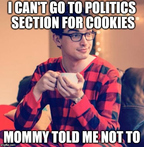 Pajama Boy | I CAN'T GO TO POLITICS SECTION FOR COOKIES MOMMY TOLD ME NOT TO | image tagged in pajama boy | made w/ Imgflip meme maker