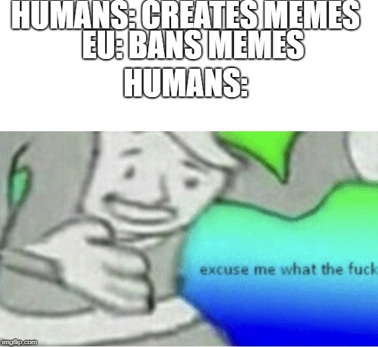 Excuse me wtf blank template | HUMANS: CREATES MEMES; EU: BANS MEMES; HUMANS: | image tagged in excuse me wtf blank template | made w/ Imgflip meme maker