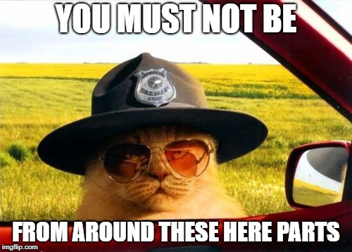 Cat Cop | YOU MUST NOT BE; FROM AROUND THESE HERE PARTS | image tagged in funny,cat,cop | made w/ Imgflip meme maker