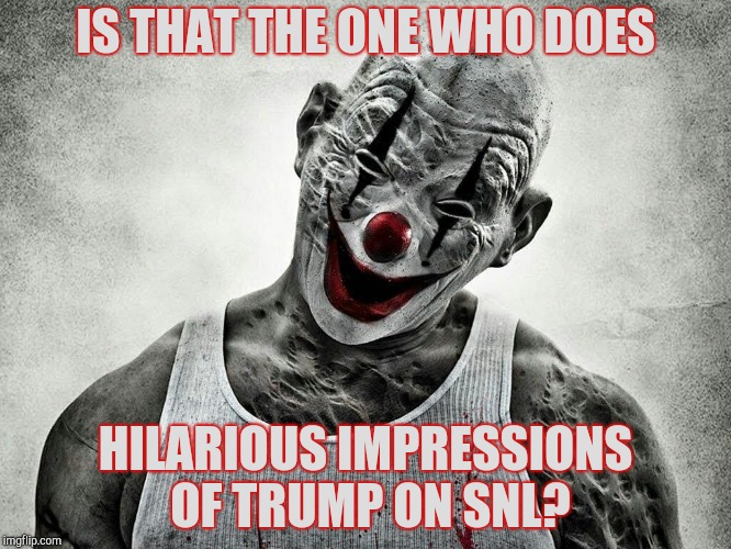 IS THAT THE ONE WHO DOES HILARIOUS IMPRESSIONS OF TRUMP ON SNL? | made w/ Imgflip meme maker