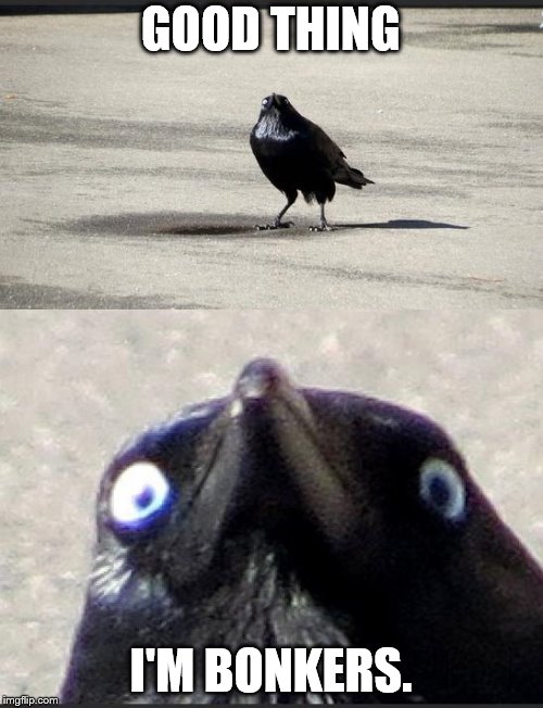 insanity crow | GOOD THING I'M BONKERS. | image tagged in insanity crow | made w/ Imgflip meme maker