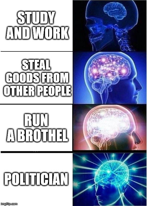 Expanding Brain | STUDY AND WORK; STEAL GOODS FROM OTHER PEOPLE; RUN A BROTHEL; POLITICIAN | image tagged in memes,expanding brain | made w/ Imgflip meme maker