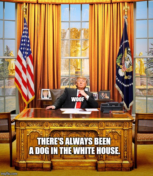 Now We Know Who Let the Dogs Out. | WOOF; THERE'S ALWAYS BEEN A DOG IN THE WHITE HOUSE. | image tagged in memes,meme,trump derangement syndrome,trump sucks,clown car republicans,why is the rum gone | made w/ Imgflip meme maker