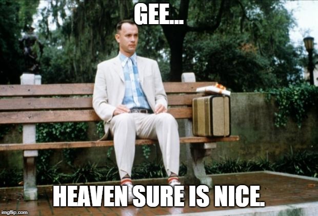 Forrest Gump | GEE... HEAVEN SURE IS NICE. | image tagged in forrest gump | made w/ Imgflip meme maker