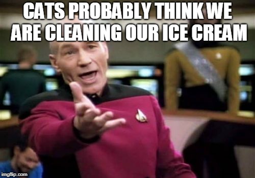 Picard Wtf Meme | CATS PROBABLY THINK WE ARE CLEANING OUR ICE CREAM | image tagged in memes,picard wtf | made w/ Imgflip meme maker