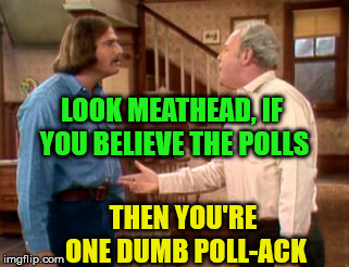 Archie and Meathead on the election polls | LOOK MEATHEAD, IF YOU BELIEVE THE POLLS; THEN YOU'RE ONE DUMB POLL-ACK | image tagged in archie bunker mike meathead,polls,election,one does not simply,political meme,memes | made w/ Imgflip meme maker