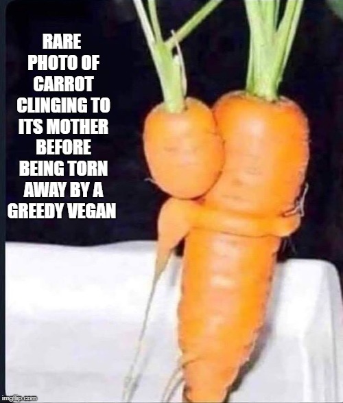 a mothers love | RARE PHOTO OF CARROT CLINGING TO ITS MOTHER BEFORE BEING TORN AWAY BY A GREEDY VEGAN | image tagged in carrots,vegan | made w/ Imgflip meme maker