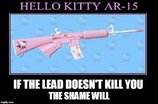 No way. Just... no way... | IF THE LEAD DOESN'T KILL YOU; THE SHAME WILL | image tagged in ar15,hello kitty,2nd amendment | made w/ Imgflip meme maker
