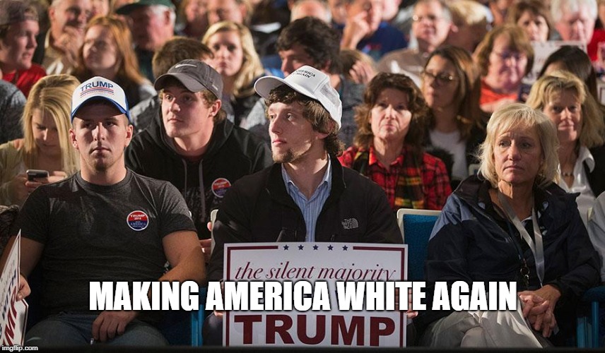"Making America White Again" | MAKING AMERICA WHITE AGAIN | image tagged in white nationalism,white supremacy,nation of sheep,trump,the deplorables,neo-fascism | made w/ Imgflip meme maker