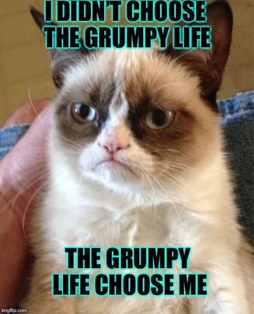 Grumpy Cat Meme | I DIDN’T CHOOSE THE GRUMPY LIFE; THE GRUMPY LIFE CHOOSE ME | image tagged in memes,grumpy cat | made w/ Imgflip meme maker