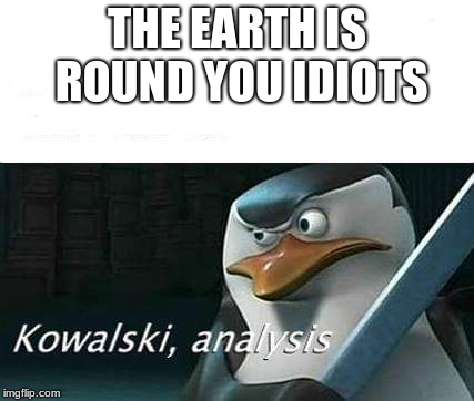 kowalski, analysis | THE EARTH IS ROUND YOU IDIOTS | image tagged in kowalski analysis | made w/ Imgflip meme maker