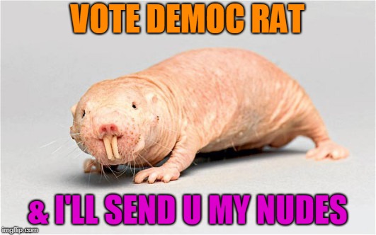 Unashamed democRat | VOTE DEMOC RAT; & I'LL SEND U MY NUDES | image tagged in democrats,liberals,politics | made w/ Imgflip meme maker