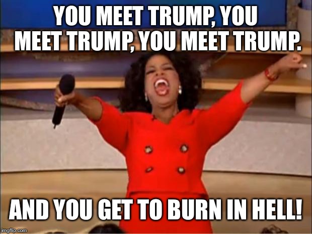 Oprah You Get A | YOU MEET TRUMP, YOU MEET TRUMP, YOU MEET TRUMP. AND YOU GET TO BURN IN HELL! | image tagged in memes,oprah you get a | made w/ Imgflip meme maker
