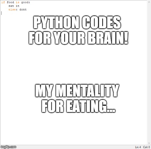 Coding your brain in python... | PYTHON CODES FOR YOUR BRAIN! MY MENTALITY FOR EATING... | image tagged in dank memes,good memes,new meme | made w/ Imgflip meme maker