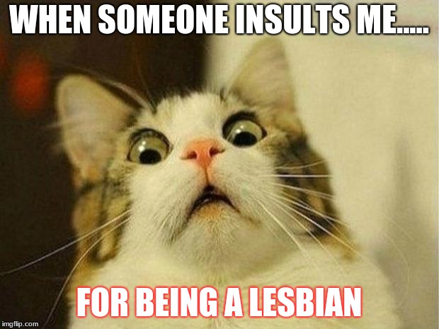 Scared Cat Meme | WHEN SOMEONE INSULTS ME..... FOR BEING A LESBIAN | image tagged in memes,scared cat | made w/ Imgflip meme maker